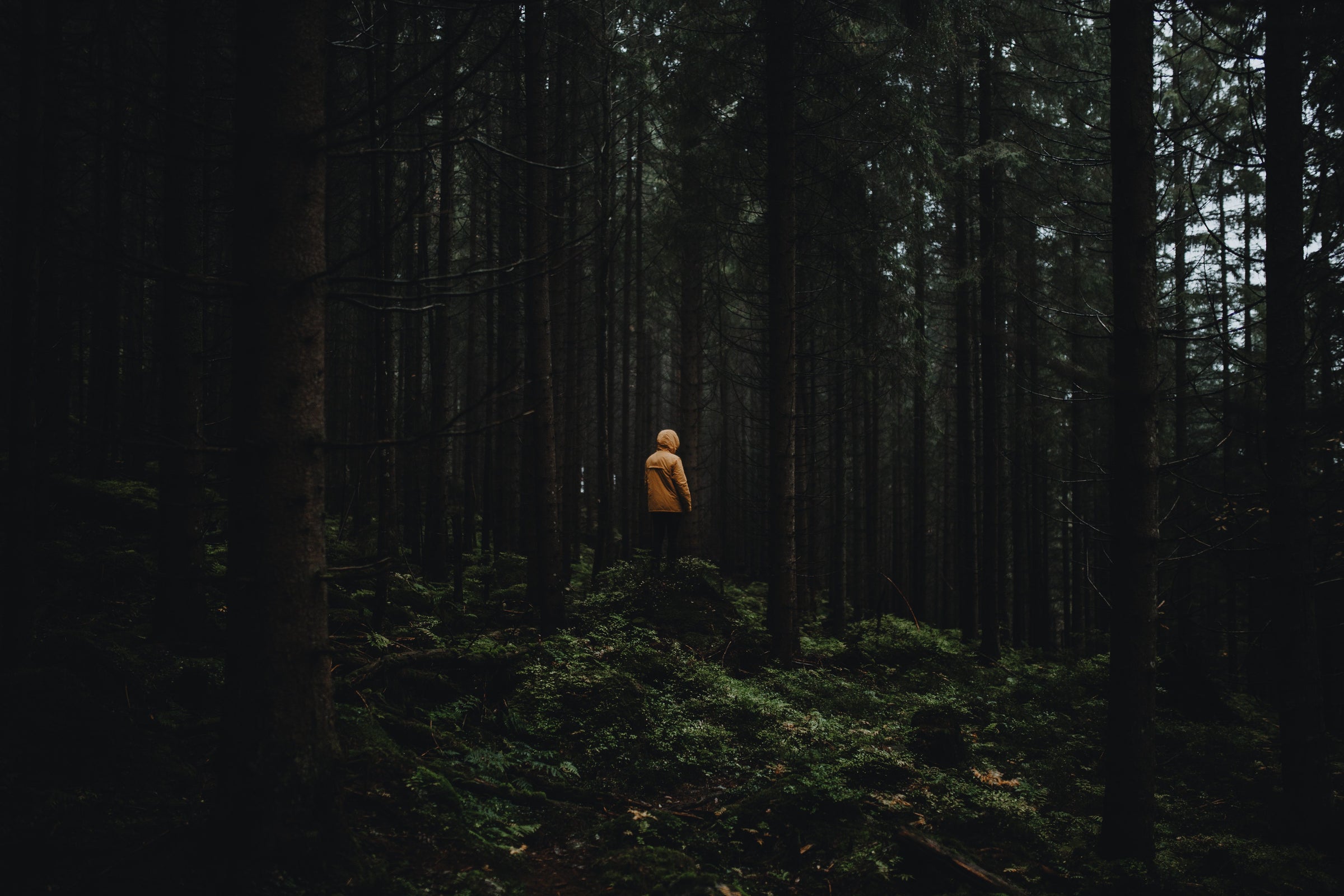 Built for quiet roads, open campsites, and the outdoor moments that stay with you long after the trip.